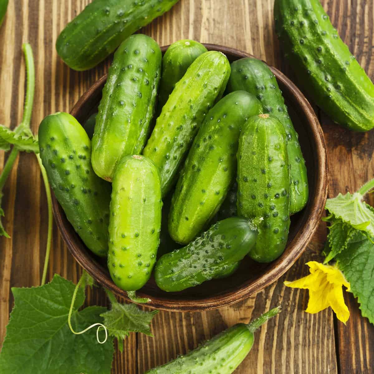 Persian Cucumbers