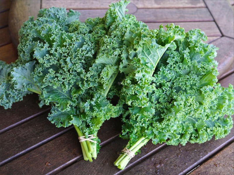 Blue Curled Kale