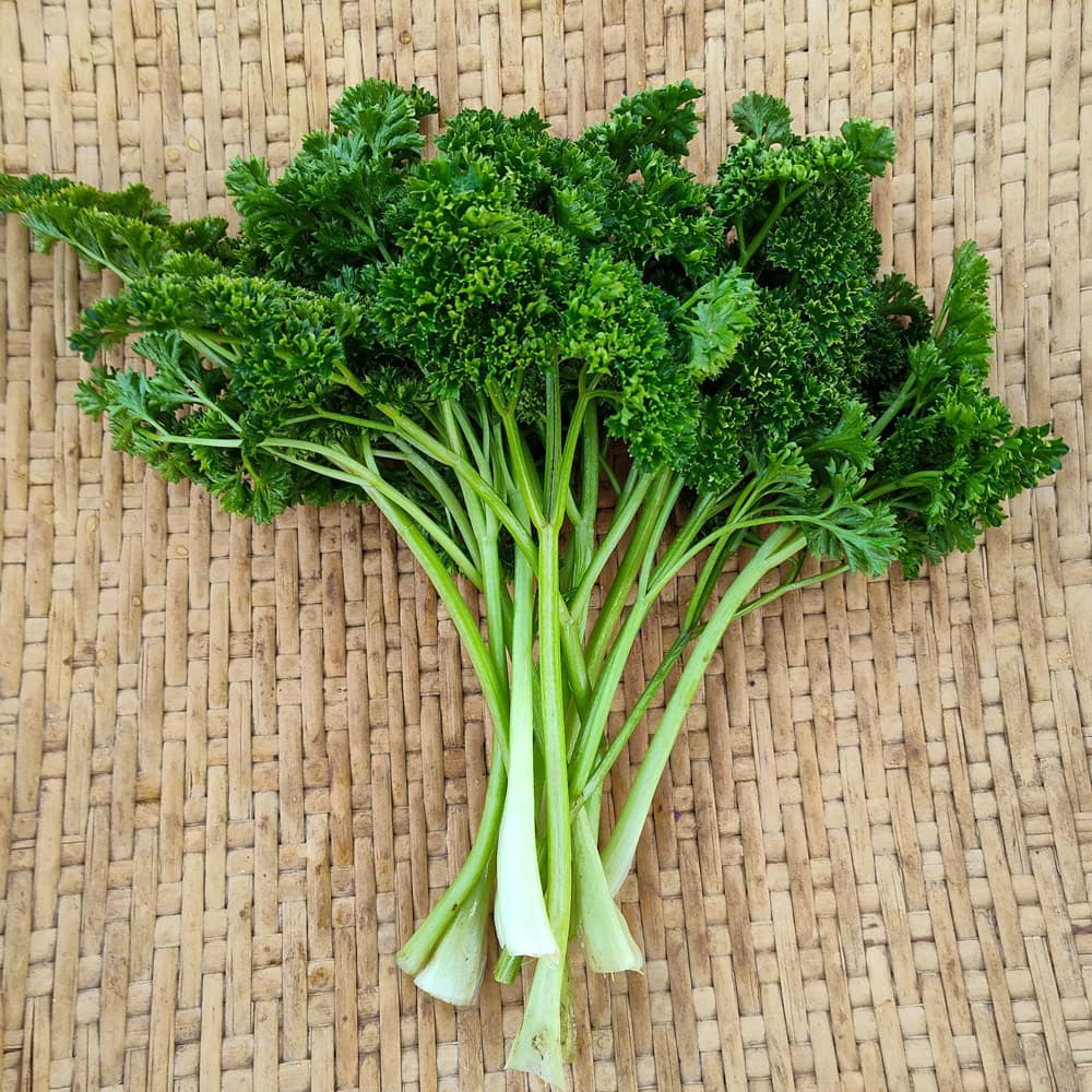 Italian Parsley