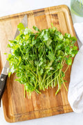 Cilantro