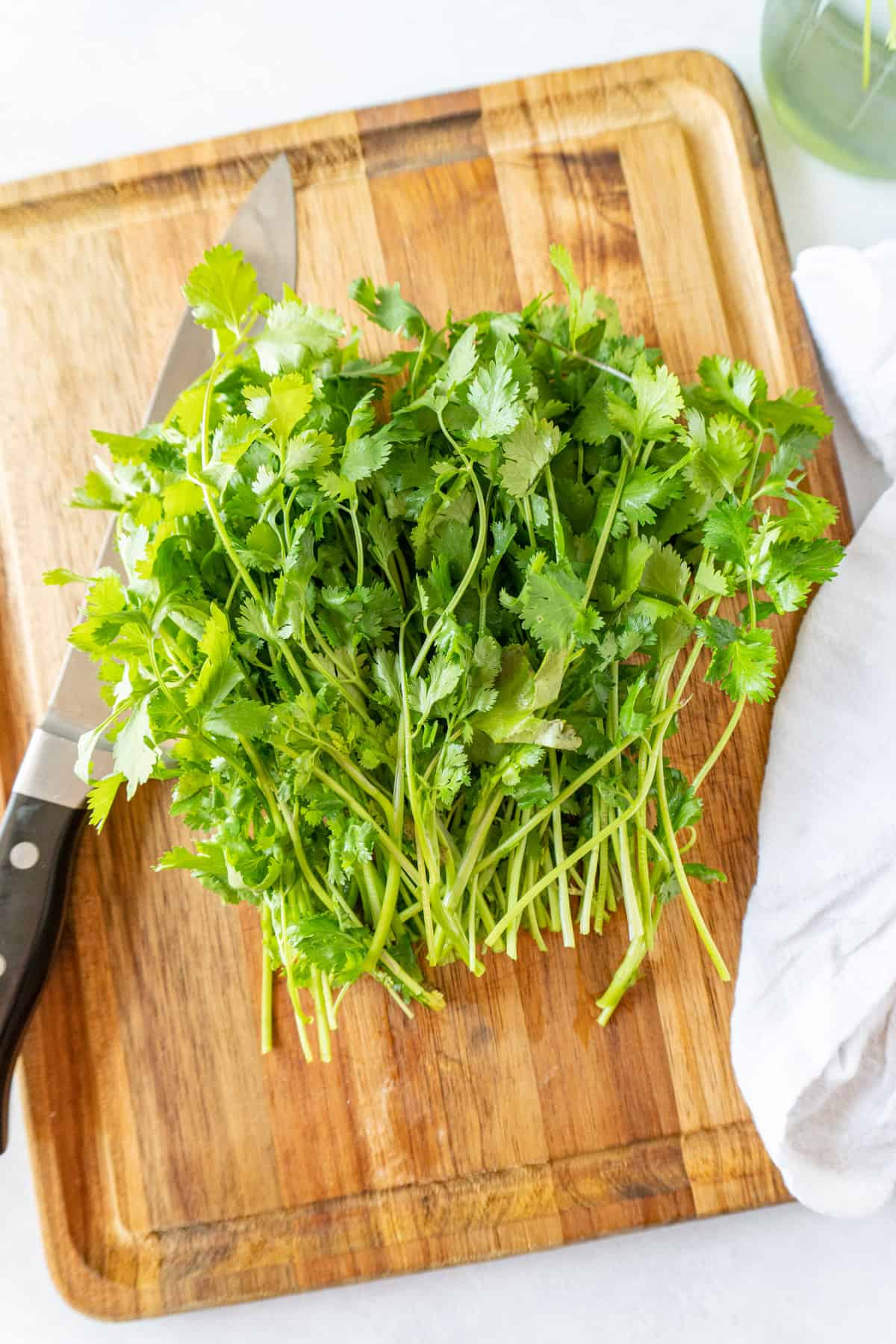 Cilantro