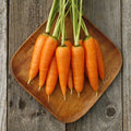 Danvers Carrots