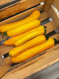 Yellow Squash